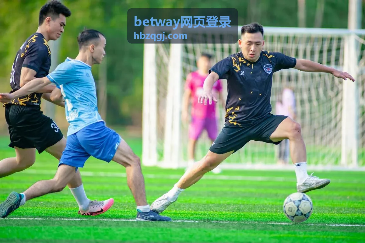 betway网页登录账号注册时填写联系方式的页面示意